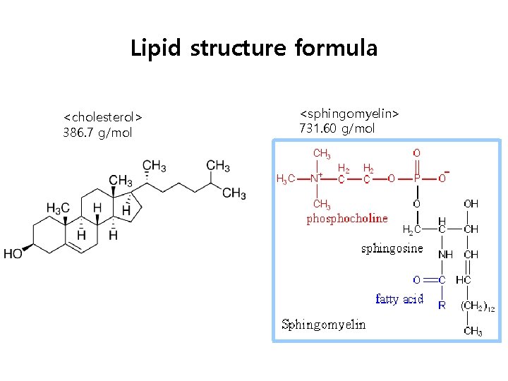 Lipid structure formula <cholesterol> 386. 7 g/mol <sphingomyelin> 731. 60 g/mol 