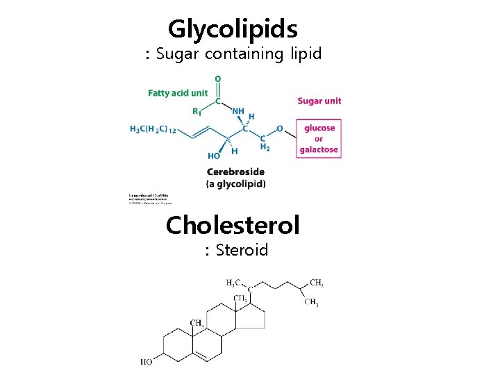 Glycolipids : Sugar containing lipid Cholesterol : Steroid 