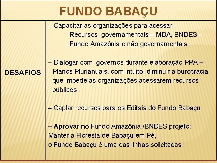 FUNDO BABAÇU – Capacitar as organizações para acessar Recursos governamentais – MDA, BNDES Fundo