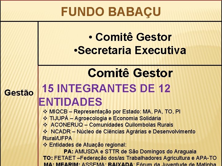 FUNDO BABAÇU • Comitê Gestor • Secretaria Executiva Comitê Gestor Gestão 15 INTEGRANTES DE