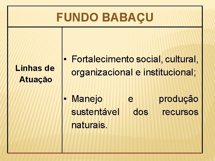 FUNDO BABAÇU • Fortalecimento social, cultural, Linhas de organizacional e institucional; Atuação • Manejo