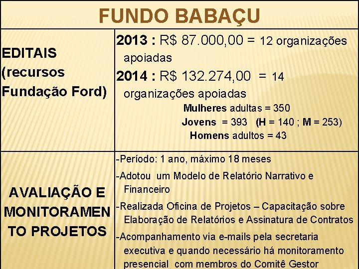 FUNDO BABAÇU 2013 : R$ 87. 000, 00 = 12 organizações EDITAIS apoiadas (recursos