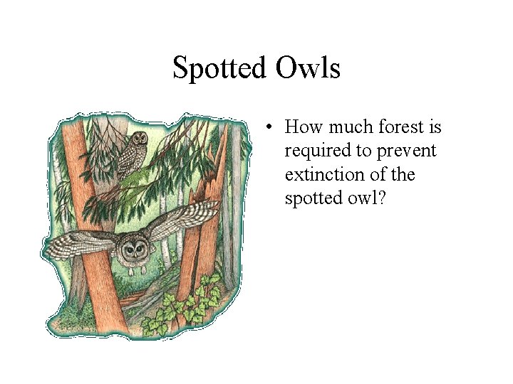 Spotted Owls • How much forest is required to prevent extinction of the spotted