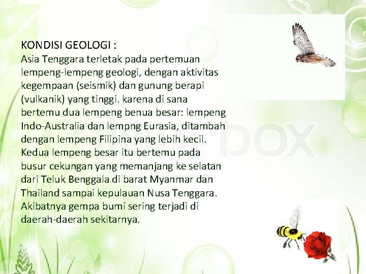 KONDISI GEOLOGI : Asia Tenggara terletak pada pertemuan lempeng-lempeng geologi, dengan aktivitas kegempaan (seismik)