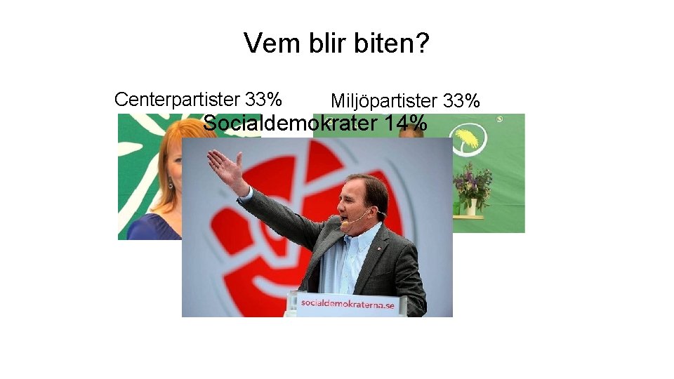 Vem blir biten? Centerpartister 33% Miljöpartister 33% Socialdemokrater 14% 