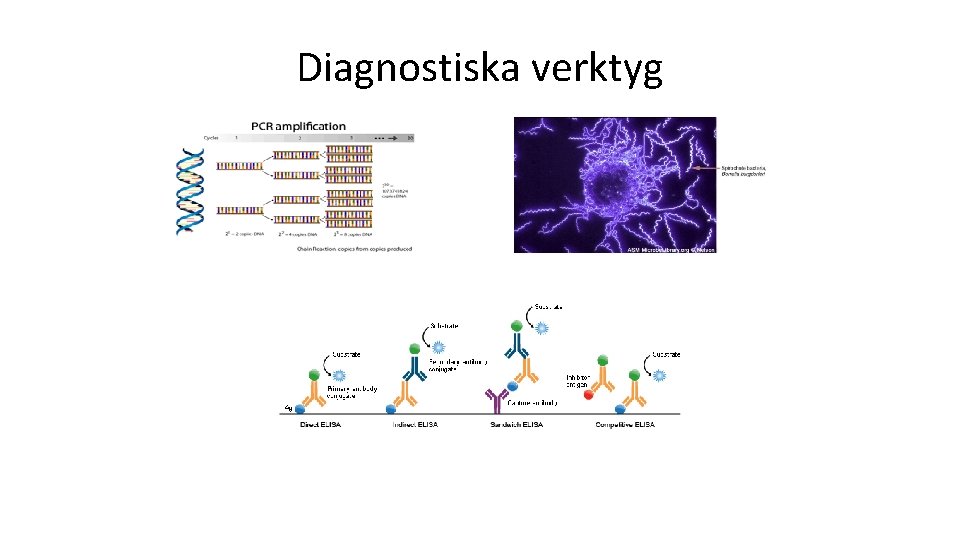 Diagnostiska verktyg 