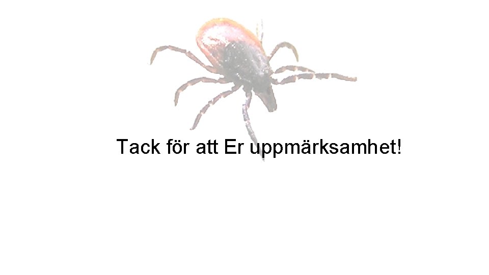 Tack för att Er uppmärksamhet! 