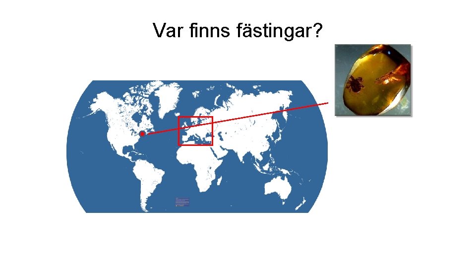 Var finns fästingar? 