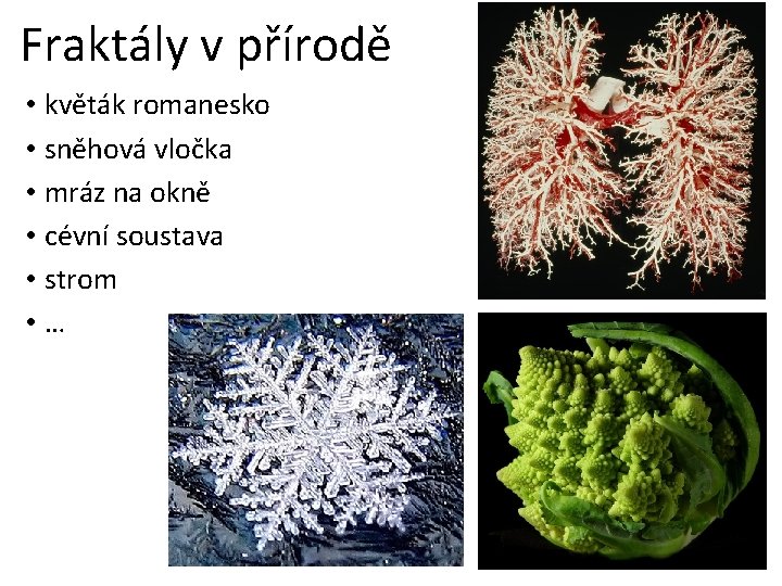 Fraktály v přírodě • květák romanesko • sněhová vločka • mráz na okně •