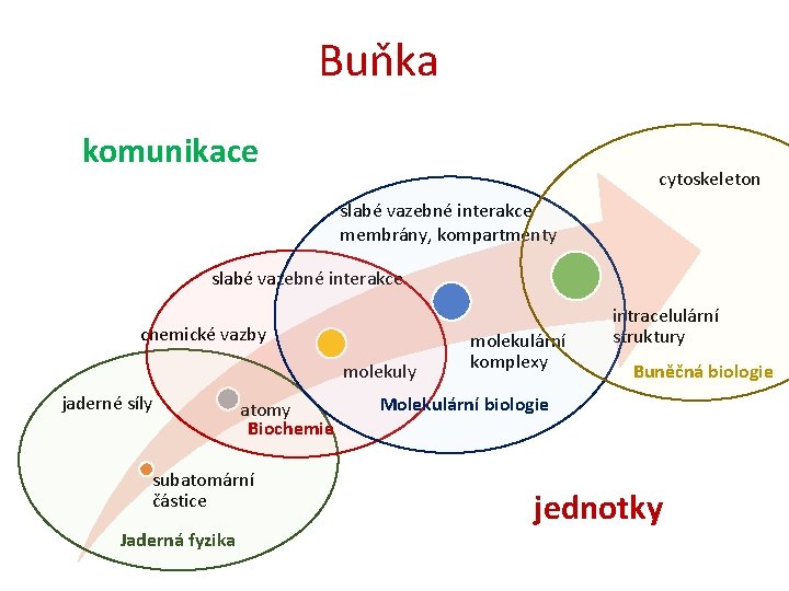 Buňka komunikace cytoskeleton slabé vazebné interakce membrány, kompartmenty slabé vazebné interakce chemické vazby molekuly