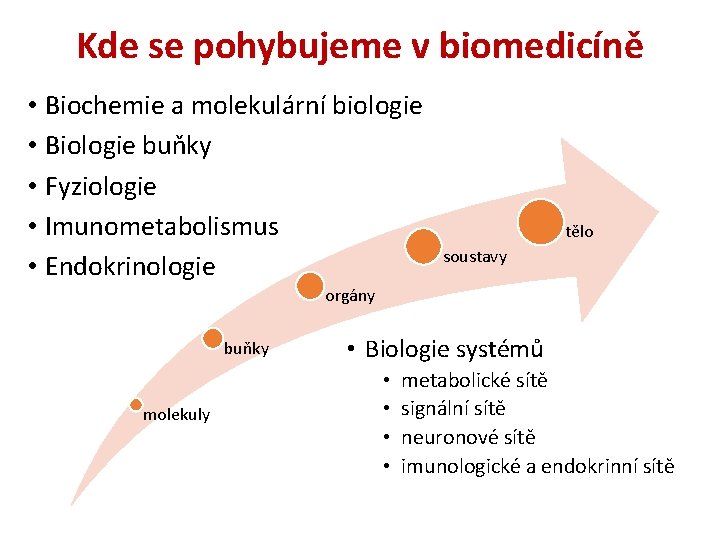 Kde se pohybujeme v biomedicíně • Biochemie a molekulární biologie • Biologie buňky •