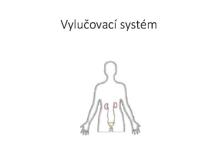 Vylučovací systém 
