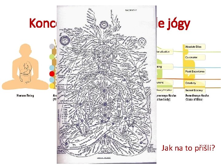 Koncept lidského těla dle jógy Jak na to přišli? 