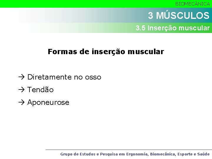 BIOMEC NICA 3 MÚSCULOS 3. 5 Inserção muscular Formas de inserção muscular Diretamente no