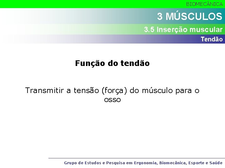 BIOMEC NICA 3 MÚSCULOS 3. 5 Inserção muscular Tendão Função do tendão Transmitir a