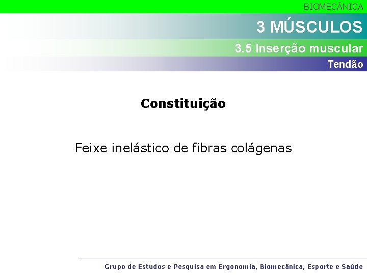 BIOMEC NICA 3 MÚSCULOS 3. 5 Inserção muscular Tendão Constituição Feixe inelástico de fibras