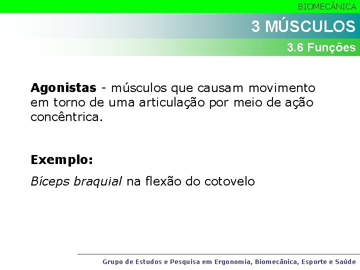 BIOMEC NICA 3 MÚSCULOS 3. 6 Funções Agonistas - músculos que causam movimento em