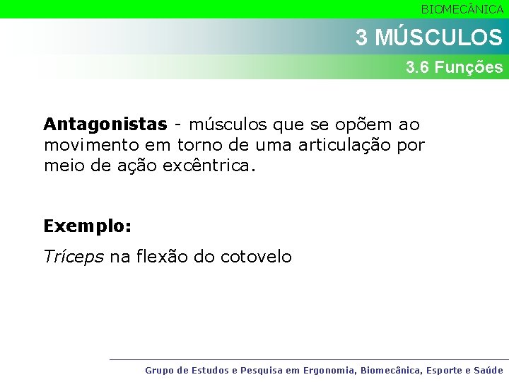 BIOMEC NICA 3 MÚSCULOS 3. 6 Funções Antagonistas - músculos que se opõem ao