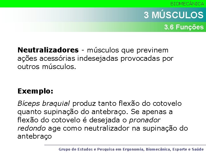 BIOMEC NICA 3 MÚSCULOS 3. 6 Funções Neutralizadores - músculos que previnem ações acessórias