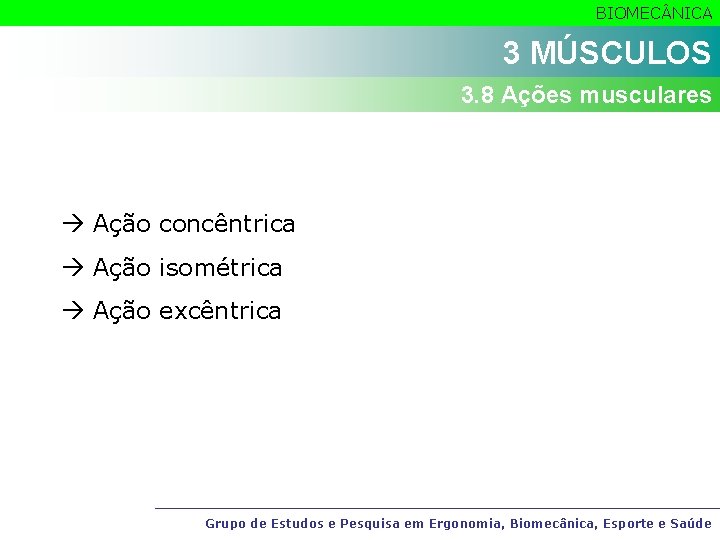 BIOMEC NICA 3 MÚSCULOS 3. 8 Ações musculares Ação concêntrica Ação isométrica Ação excêntrica