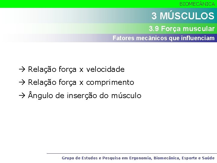 BIOMEC NICA 3 MÚSCULOS 3. 9 Força muscular Fatores mecânicos que influenciam Relação força