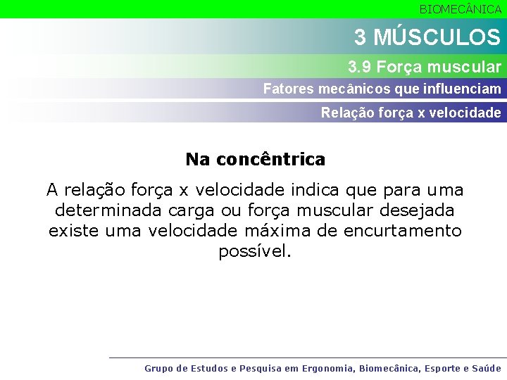 BIOMEC NICA 3 MÚSCULOS 3. 9 Força muscular Fatores mecânicos que influenciam Relação força