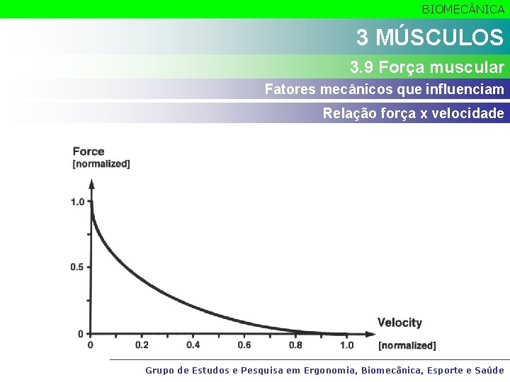 BIOMEC NICA 3 MÚSCULOS 3. 9 Força muscular Fatores mecânicos que influenciam Relação força