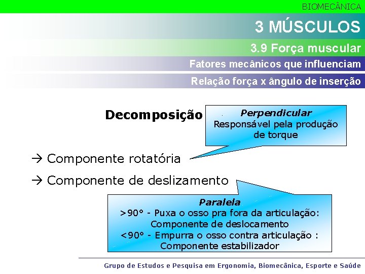 BIOMEC NICA 3 MÚSCULOS 3. 9 Força muscular Fatores mecânicos que influenciam Relação força