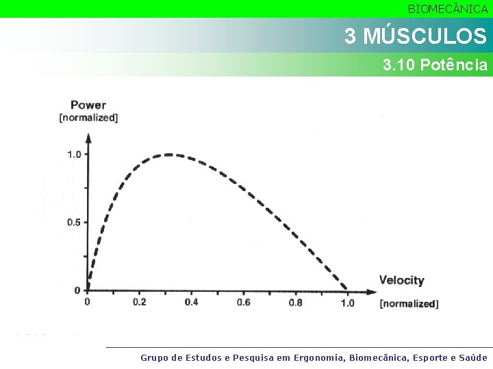 BIOMEC NICA 3 MÚSCULOS 3. 10 Potência Grupo de Estudos e Pesquisa em Ergonomia,
