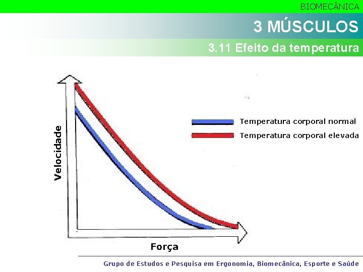 BIOMEC NICA 3 MÚSCULOS 3. 11 Efeito da temperatura Velocidade Temperatura corporal normal Temperatura