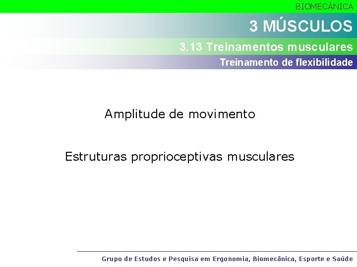 BIOMEC NICA 3 MÚSCULOS 3. 13 Treinamentos musculares Treinamento de flexibilidade Amplitude de movimento