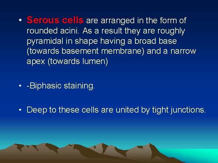  • Serous cells are arranged in the form of rounded acini. As a