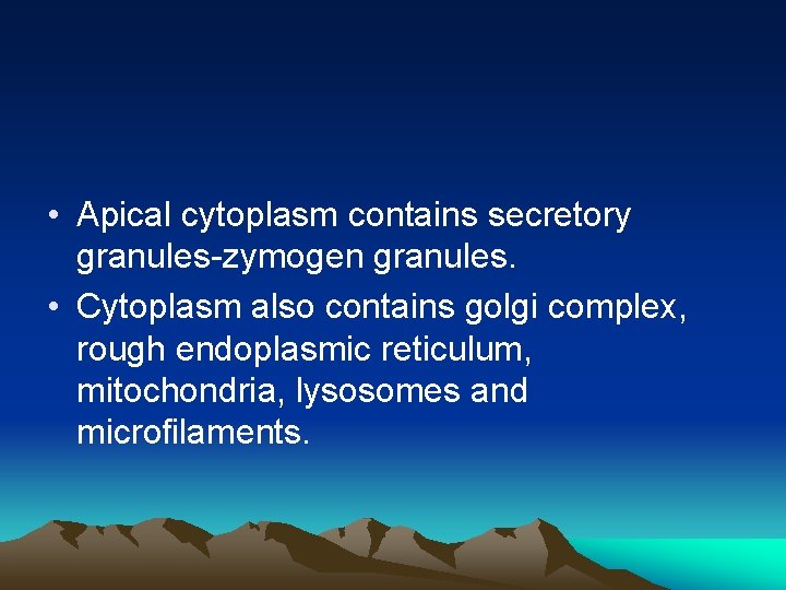  • Apical cytoplasm contains secretory granules-zymogen granules. • Cytoplasm also contains golgi complex,