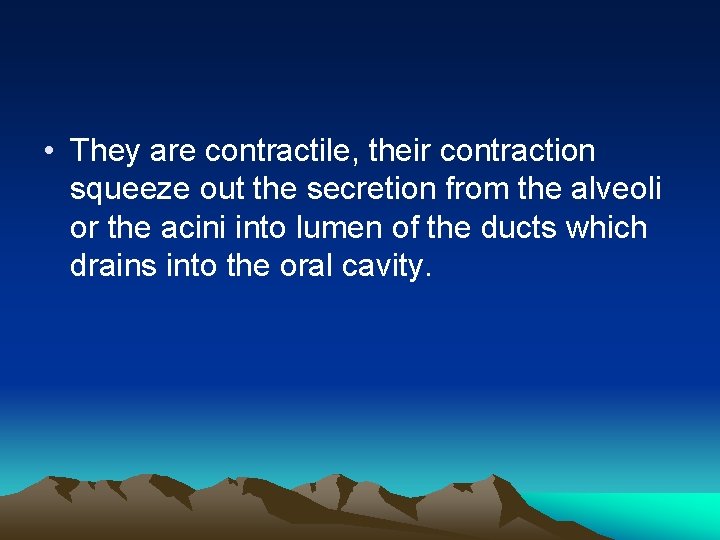  • They are contractile, their contraction squeeze out the secretion from the alveoli