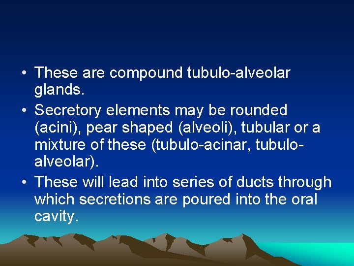  • These are compound tubulo-alveolar glands. • Secretory elements may be rounded (acini),