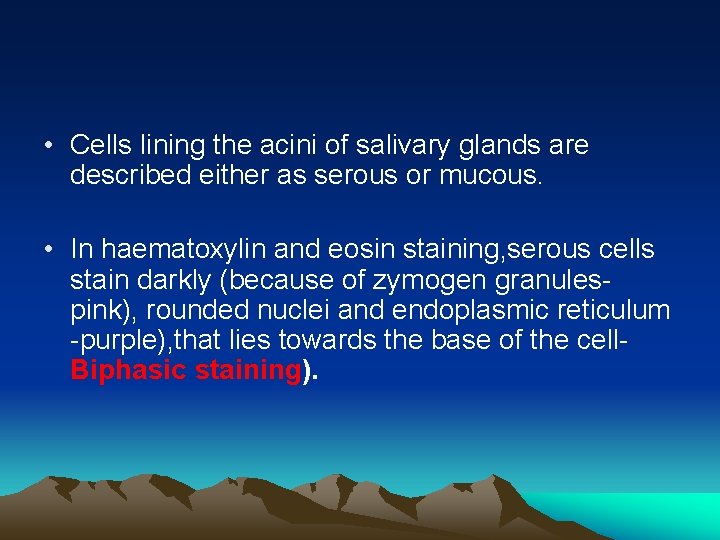  • Cells lining the acini of salivary glands are described either as serous