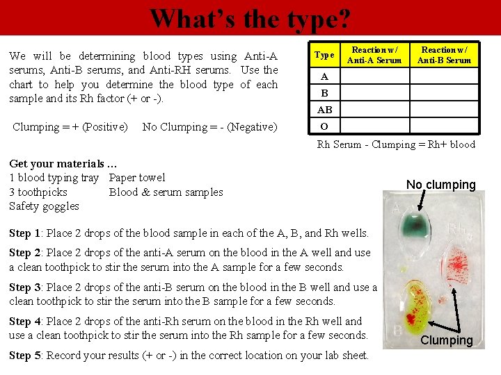 What’s the type? We will be determining blood types using Anti-A serums, Anti-B serums,