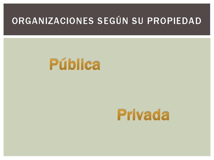 ORGANIZACIONES SEGÚN SU PROPIEDAD Pública Privada 