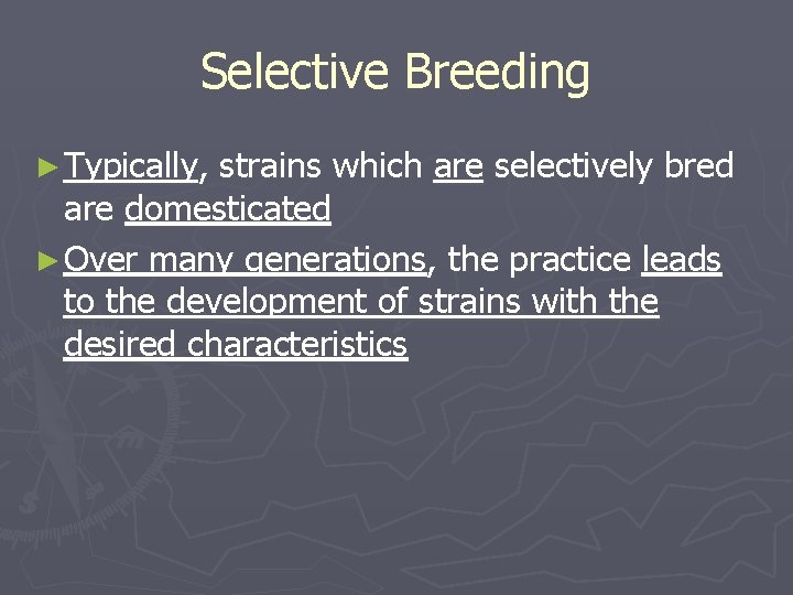 Selective Breeding ► Typically, strains which are selectively bred are domesticated ► Over many
