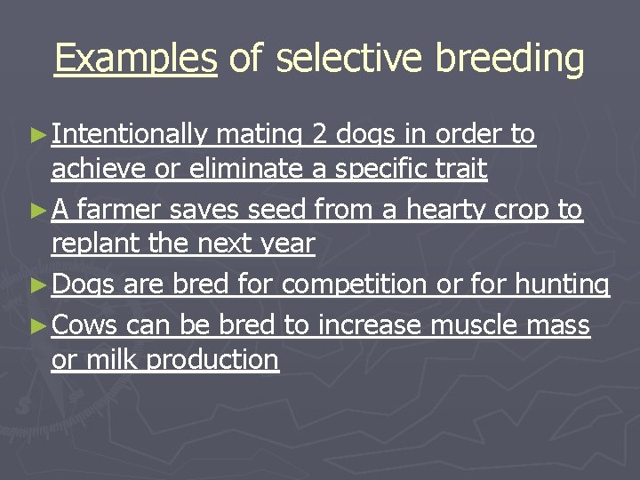 Examples of selective breeding ► Intentionally mating 2 dogs in order to achieve or Examples of selective breeding ► Intentionally mating 2 dogs in order to achieve or