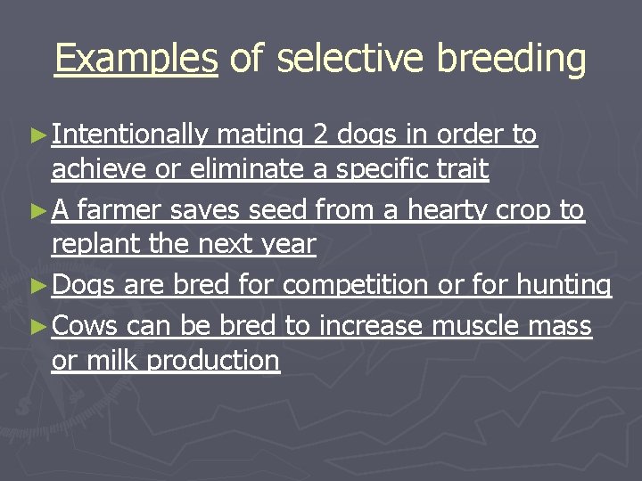 Examples of selective breeding ► Intentionally mating 2 dogs in order to achieve or