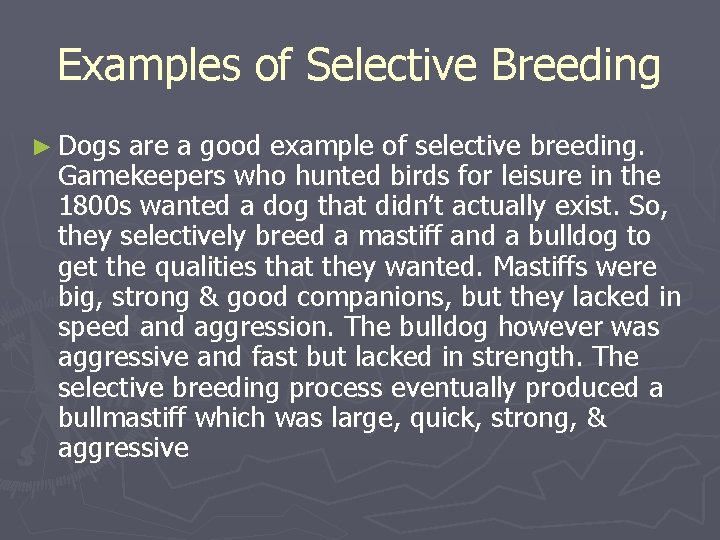 Examples of Selective Breeding ► Dogs are a good example of selective breeding. Gamekeepers