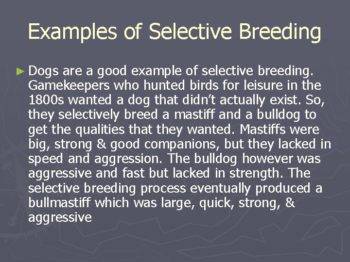 Examples of Selective Breeding ► Dogs are a good example of selective breeding. Gamekeepers Examples of Selective Breeding ► Dogs are a good example of selective breeding. Gamekeepers