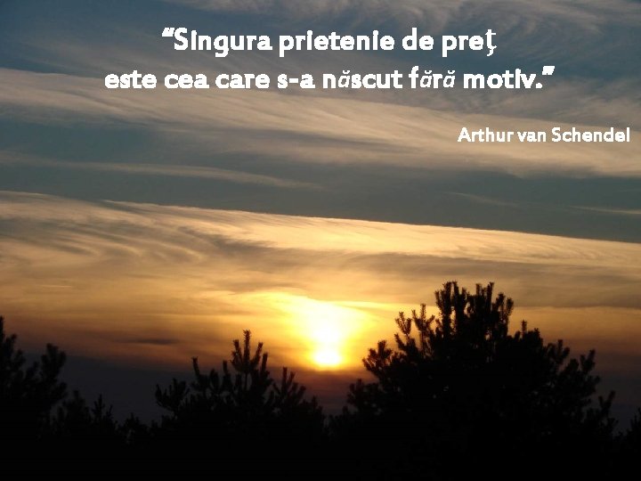 “Singura prietenie de preţ este cea care s-a născut fără motiv. ” Arthur van