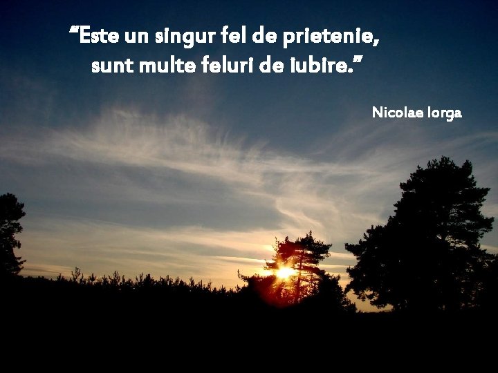 “Este un singur fel de prietenie, sunt multe feluri de iubire. ” Nicolae Iorga