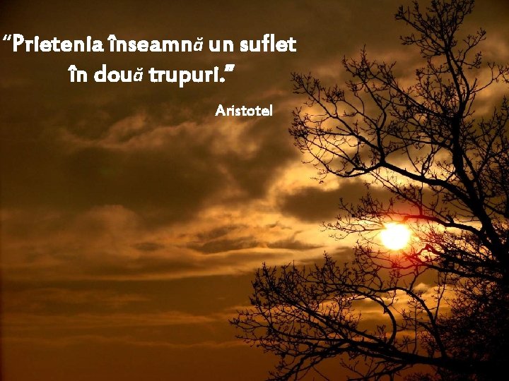 “Prietenia înseamnă un suflet în două trupuri. ” Aristotel 