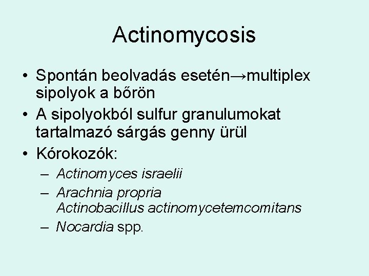 Actinomycosis • Spontán beolvadás esetén→multiplex sipolyok a bőrön • A sipolyokból sulfur granulumokat tartalmazó