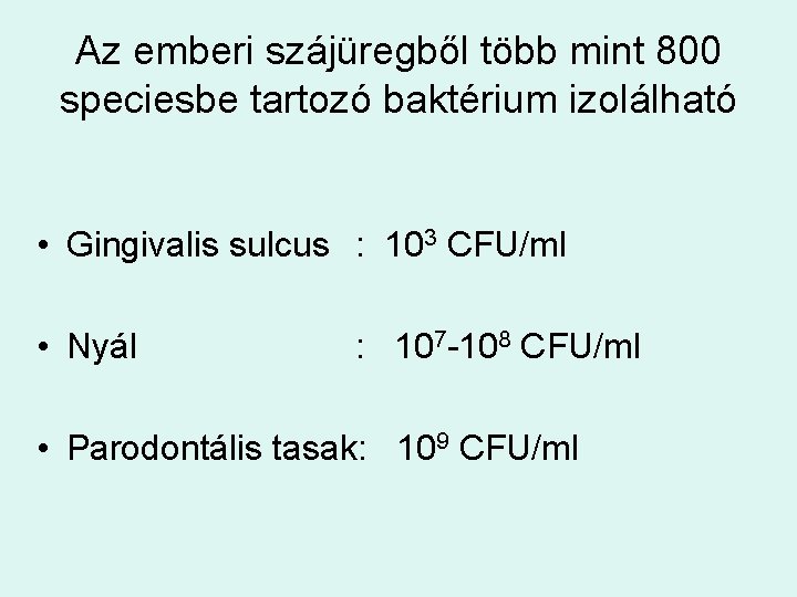 Az emberi szájüregből több mint 800 speciesbe tartozó baktérium izolálható • Gingivalis sulcus :