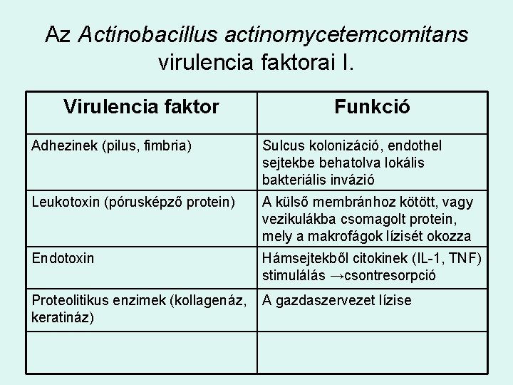Az Actinobacillus actinomycetemcomitans virulencia faktorai I. Virulencia faktor Funkció Adhezinek (pilus, fimbria) Sulcus kolonizáció,