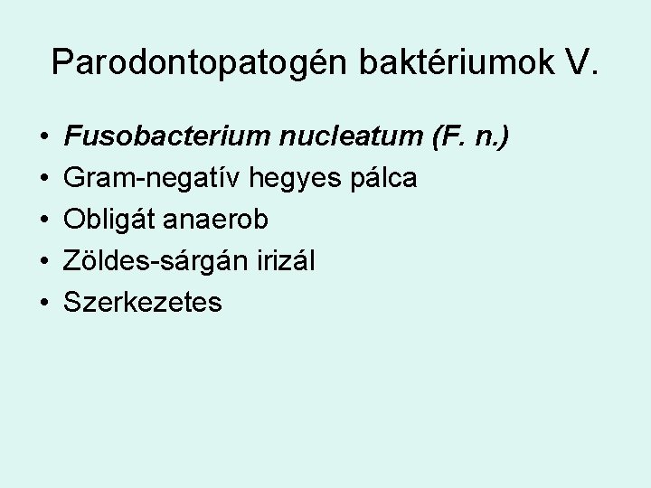 Parodontopatogén baktériumok V. • • • Fusobacterium nucleatum (F. n. ) Gram-negatív hegyes pálca